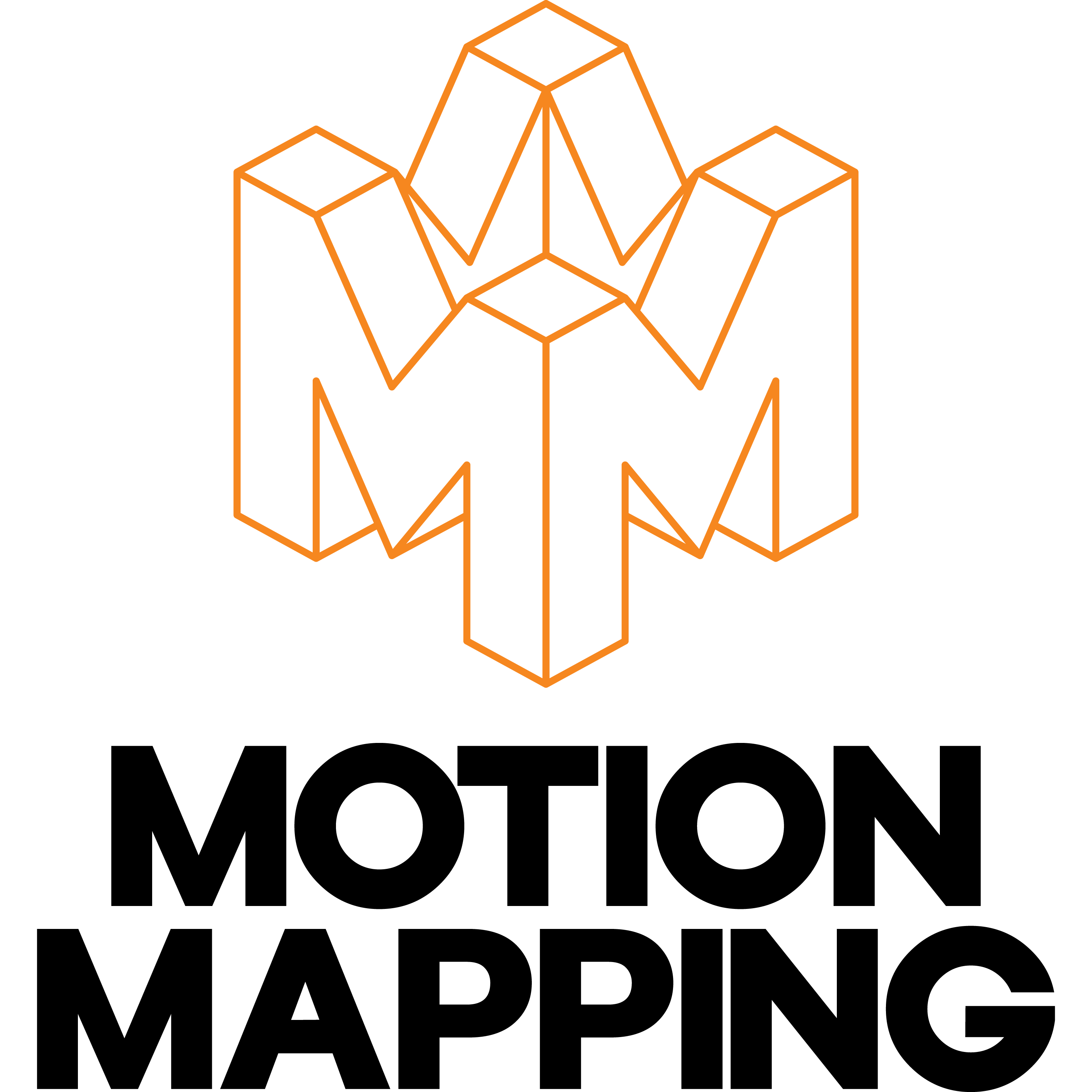 Motion Mapping Logo